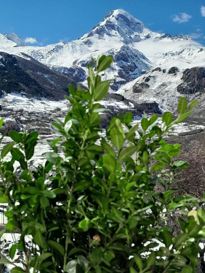 דירות Emotion Kazbegi מראה חיצוני תמונה