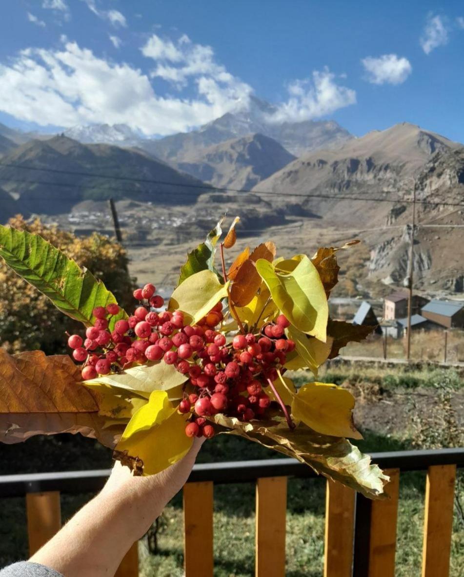 דירות Emotion Kazbegi חדר תמונה