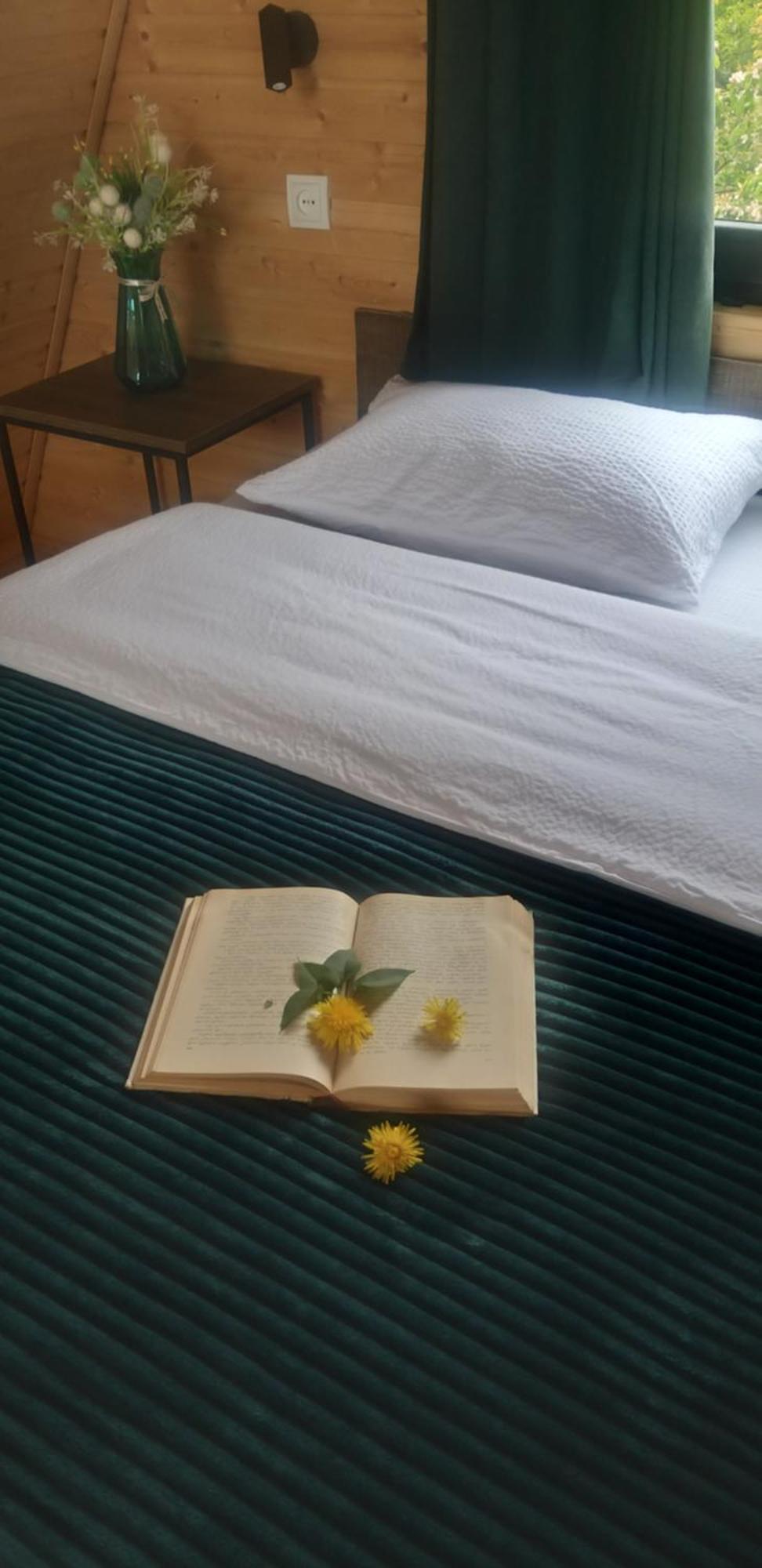 דירות Emotion Kazbegi מראה חיצוני תמונה